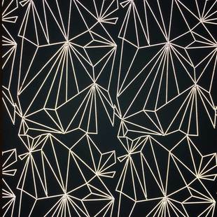 花式反光印花布13號(hào)圖