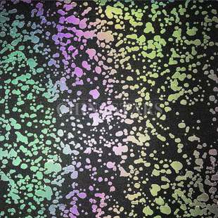 炫彩印花圓點(diǎn)反光面料19號(hào)圖